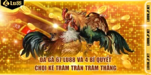 Đá gà 67