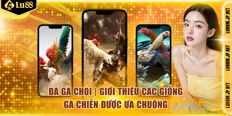 Đá gà chọi