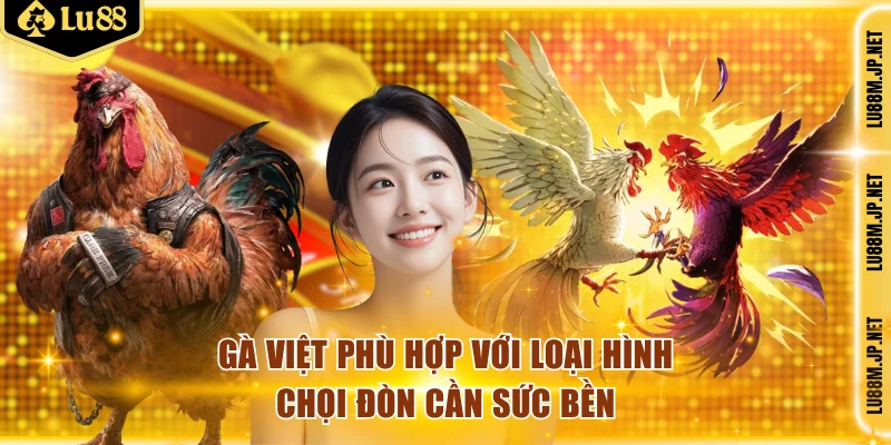 Gà Việt phù hợp với loại hình chọi đòn cần sức bền